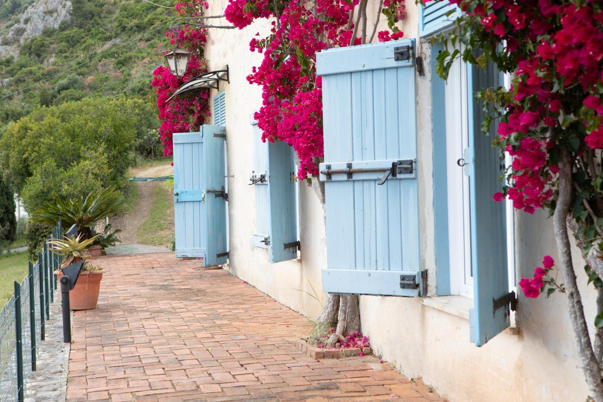 Mare In Vista - Free Parking - Wifi 100metri Dal Mare Apartamento *