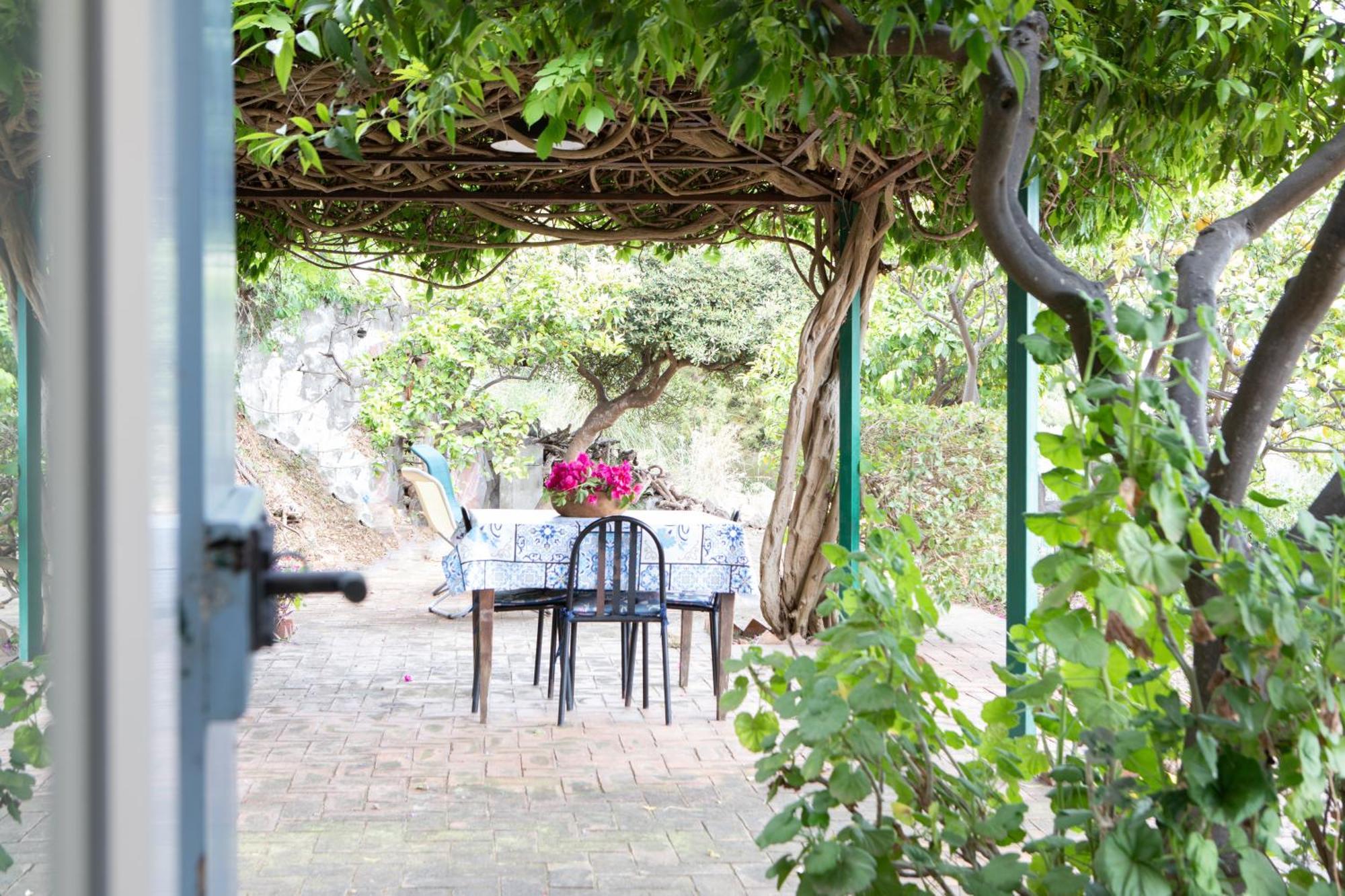 Mare In Vista - Free Parking - Wifi 100metri Dal Mare *
