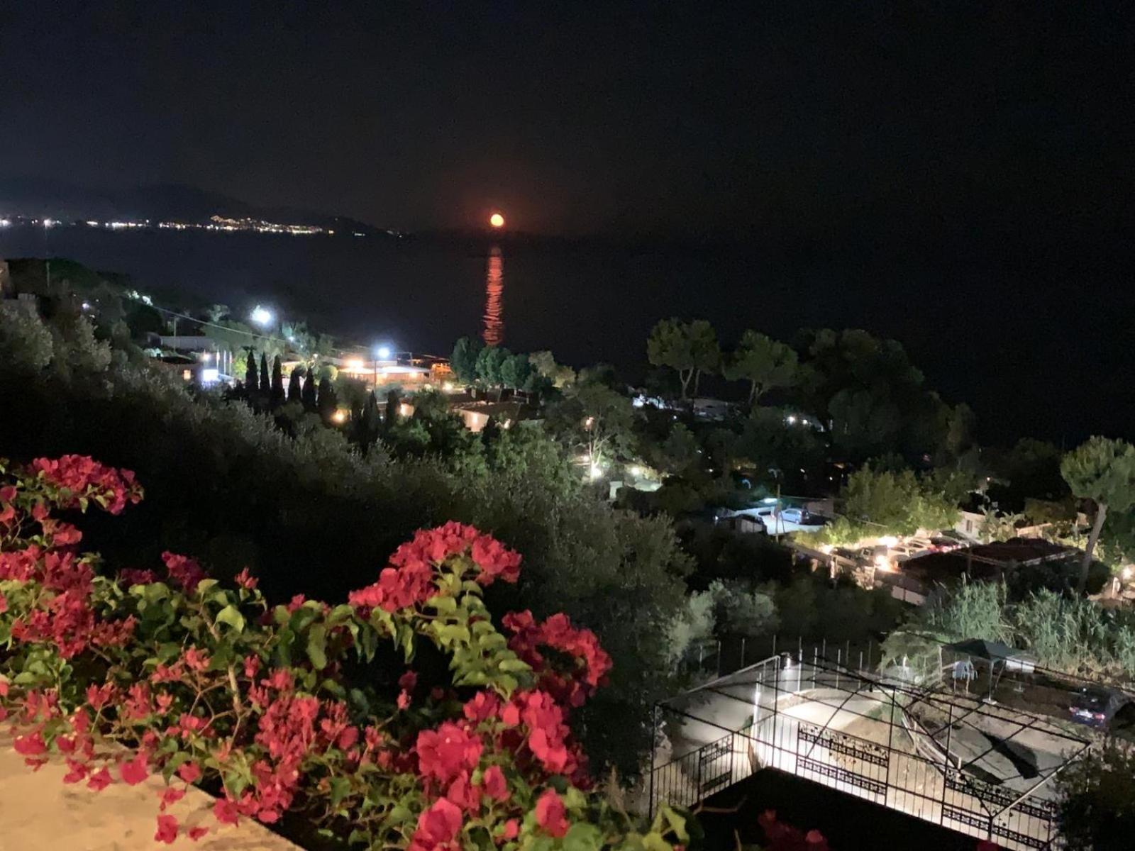 Apartamento Mare In Vista - Free Parking - Wifi 100metri Dal Mare