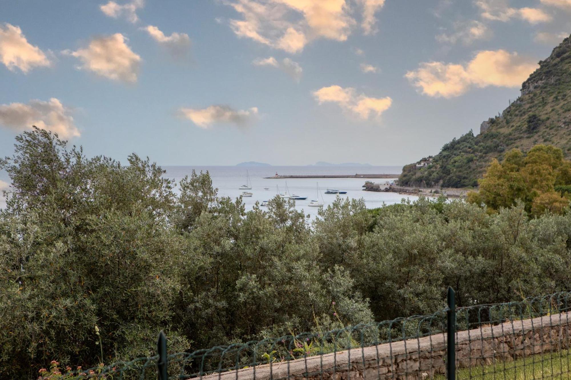 Mare In Vista - Free Parking - Wifi 100metri Dal Mare